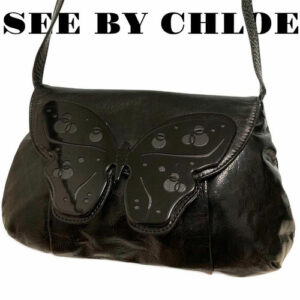 Rare Vintage Chloe Mini Bag