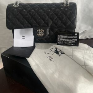 Chanel Classic Caviar Quilted Double Flap Bag-Medium Silver Hardware