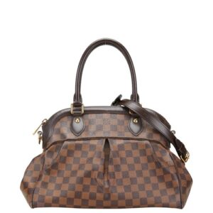 Louis Vuitton TreviPM Damier 2way bag