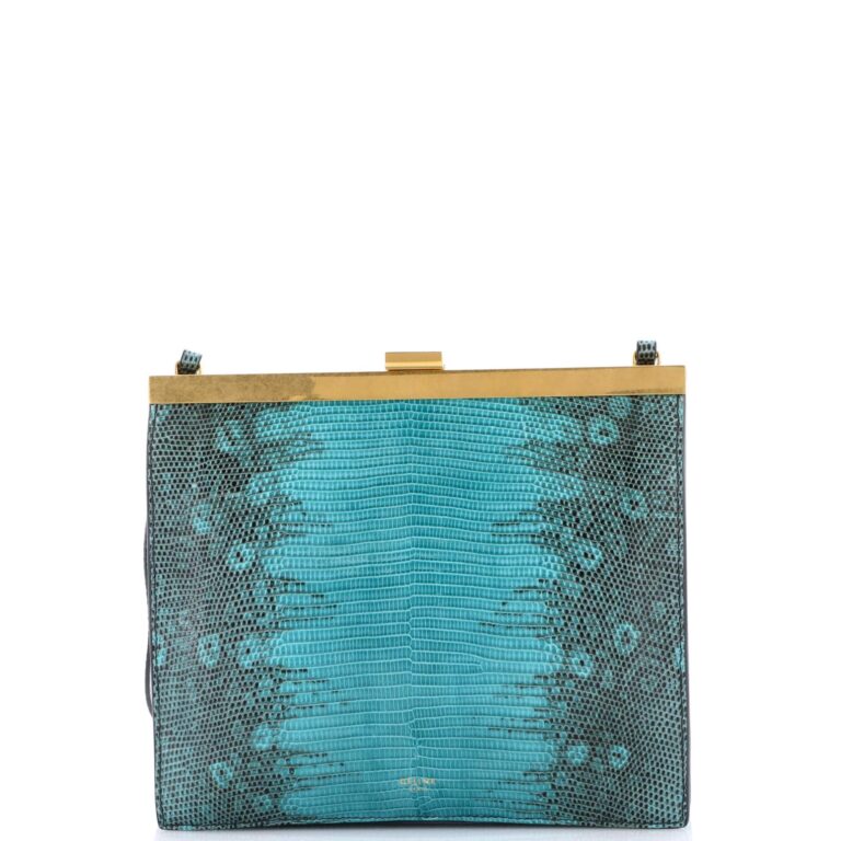 CELINE Hand bag Shoulder Strap 2way Lizard Leather Mini Size…