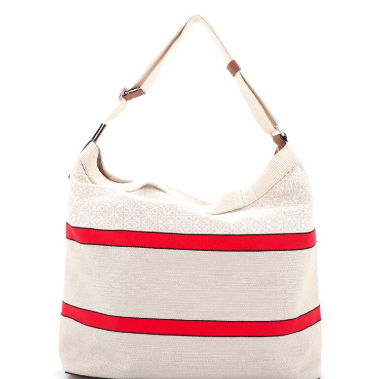 The Best Purses And Handbags: LOEWE Amazona 40 Anagram Handbag…