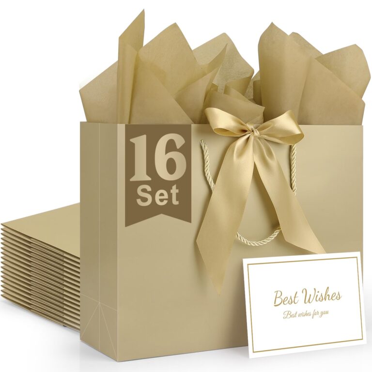 Review: Dior Gift Bag Textured Paper Holiday Limited Edition L……