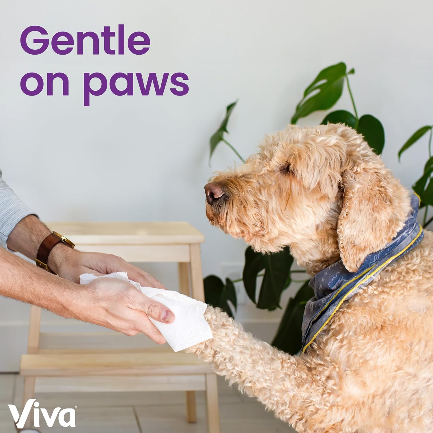 VIVA SIGNTR CLTH TRPL CAS TWL E-COMM 12 PK 129 FSC Mix SGSCH COC 005460 - Image 9