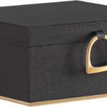 SONGMICS 2-Layer Jewelry Box, Jewelry Organizer with Handle, Removable Jewelry Tray, Black UJBC165B01